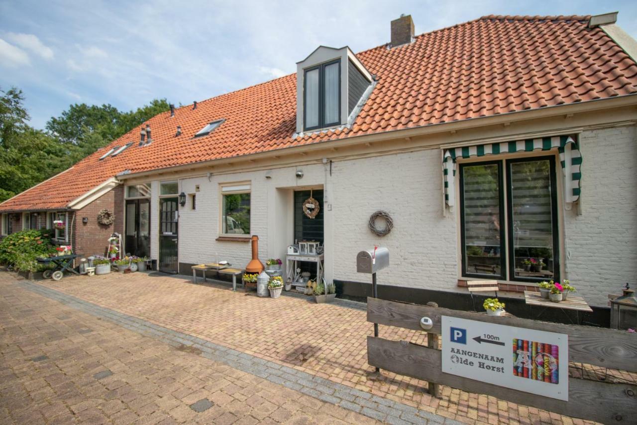 B&B Aangenaam - Olde Horst Diever Bagian luar foto